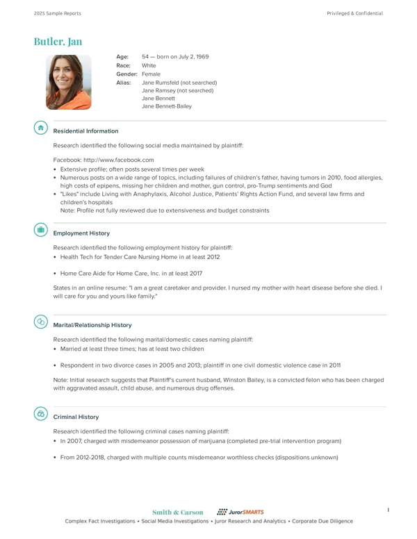Sample Plaintiff Background Investigation report preview